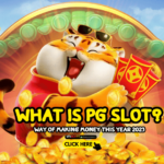 What Is PG Slot