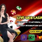 live web casino100%